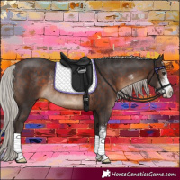 Horse Color:Silver Brown Sabino Rabicano 