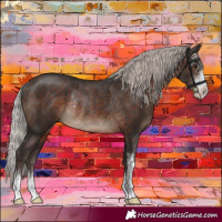 Horse Color:Silver Brown Sabino Rabicano 