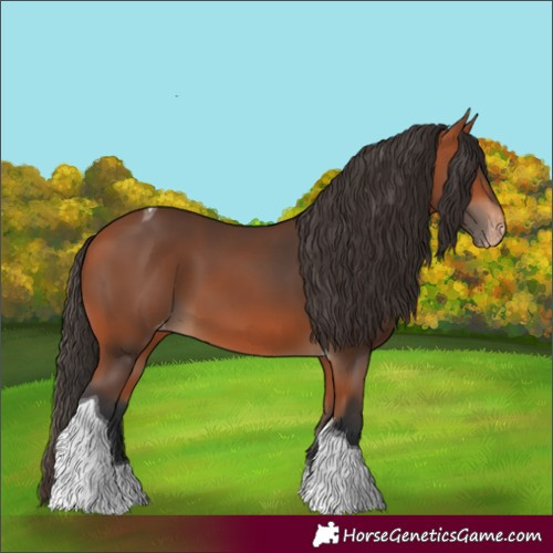 Horse Color:Bay Tobiano Skewed LP Spotted