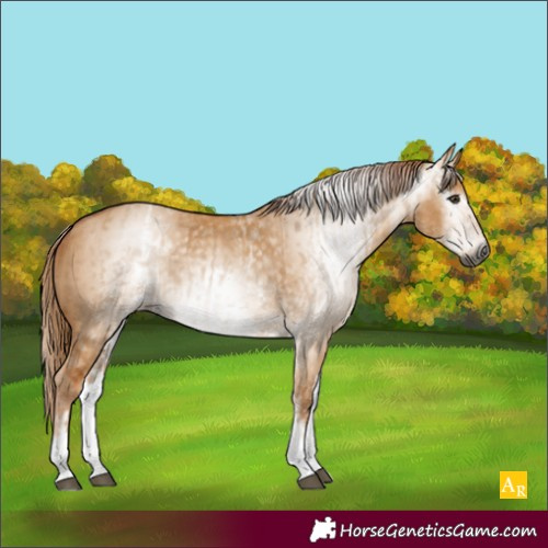 Horse Color:Unknown 