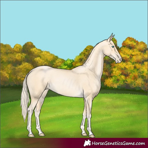 Horse Color:Palomino Pearl 
