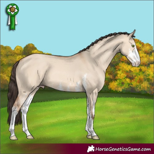 Horse Color:Amber Champagne Dun Sabino 