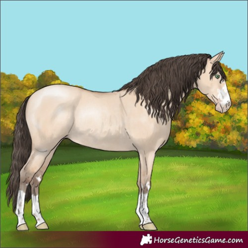Horse Color:Amber Champagne Dun Rabicano