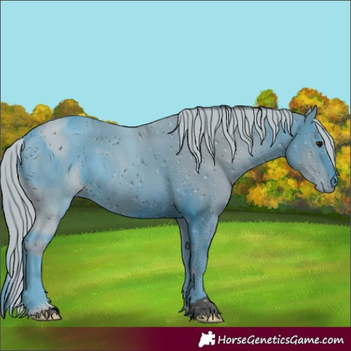 Horse Color:ERROR: UNKNOWN ANOMALY