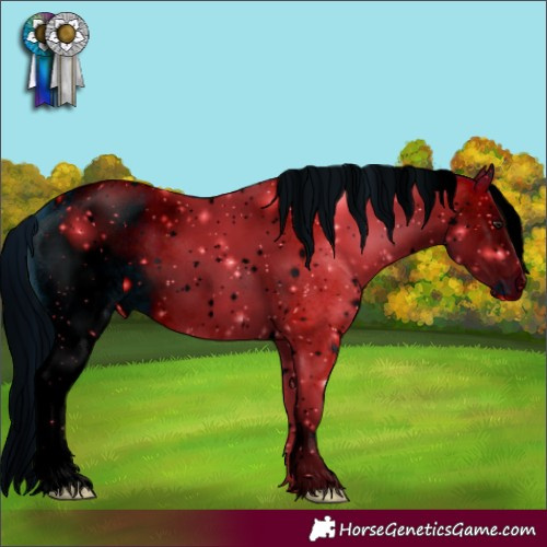 Horse Color:ERROR: UNKNOWN ANOMALY