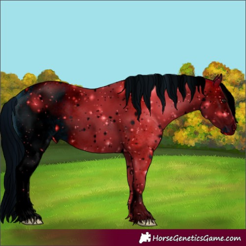 Horse Color:ERROR: UNKNOWN ANOMALY