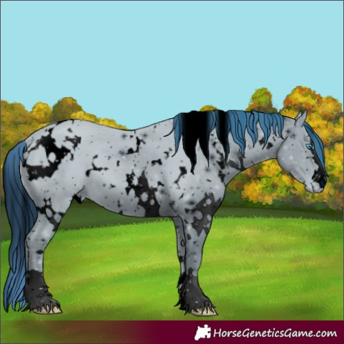 Horse Color:ERROR: UNKNOWN ANOMALY