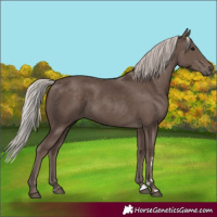 Horse Color:Silver Black