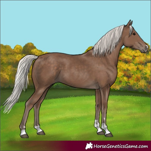 Horse Color:Silver Black