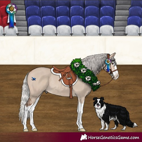 Horse Color:Silver Brown Dun Mushroom Splash Rabicano 