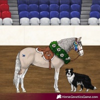 Horse Color:Silver Brown Dun Mushroom Splash Rabicano