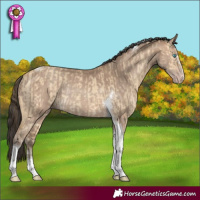 Horse Color:Sable Cream Champagne Dun Tobiano Rabicano  and Sable Champagne Tobiano Rabicano 