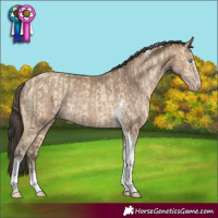 Horse Color:Sable Cream Champagne Dun Tobiano Rabicano  and Sable Champagne Tobiano Rabicano 