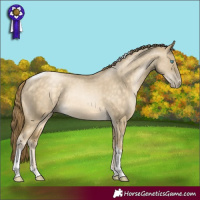 Horse Color:Buckskin Pearl Dun Tobiano Rabicano 
