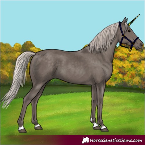Horse Color:Silver Black 
