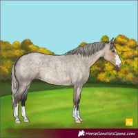 Horse Color:Silver Smoky Grullo Roan