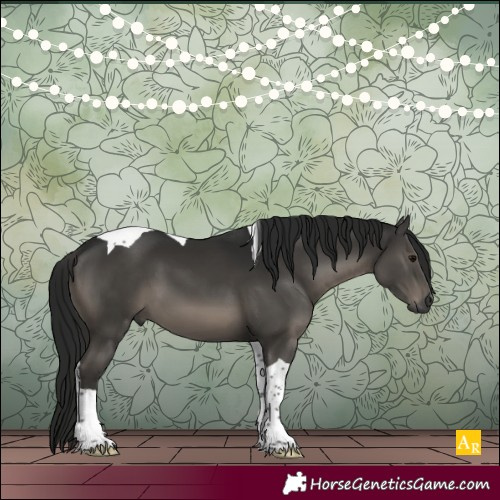 Horse Color:Gray Black Tobiano 