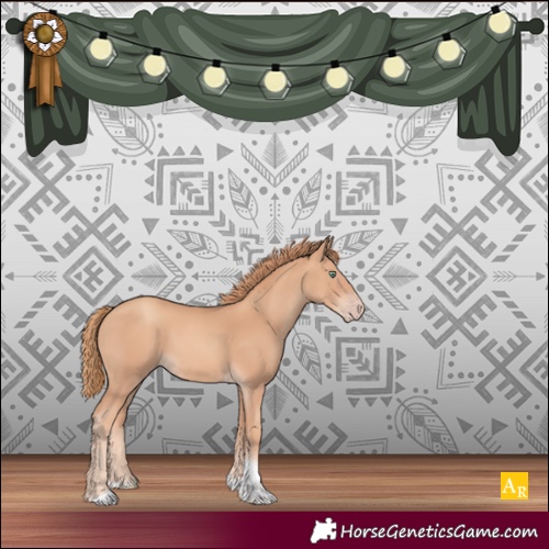 Horse Color:Gold Champagne Tobiano 