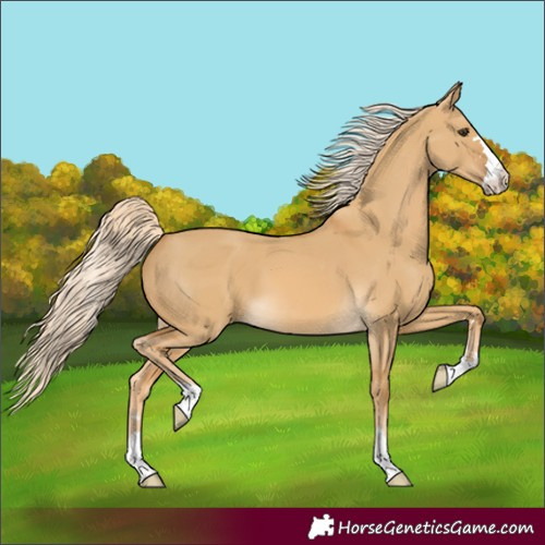 Horse Color:Palomino Dun 
