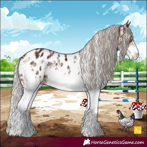 Horse Color:White Spotted Silver Brown Appaloosa Rabicano