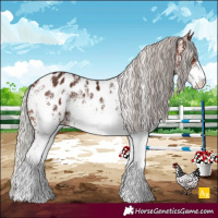 Horse Color:White Spotted Silver Brown Blanket Rabicano