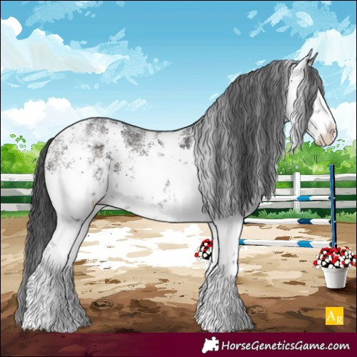 Horse Color:White Spotted Brown Sabino Rabicano