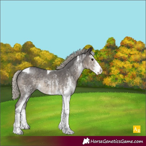 Horse Color:White Spotted Silver Smoky Black Tobiano Rabicano 