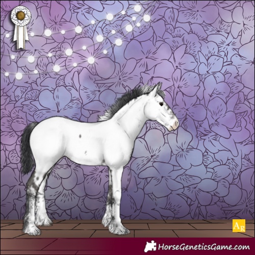 Horse Color:White Spotted Black Sabino Near Fewspot Rabicano 