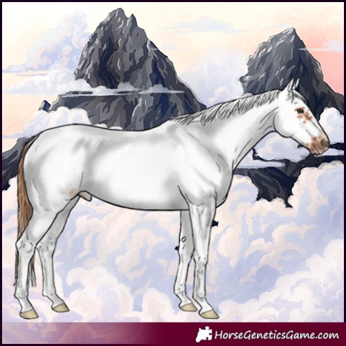 Horse Color:White Spotted Chestnut Tobiano Frame 