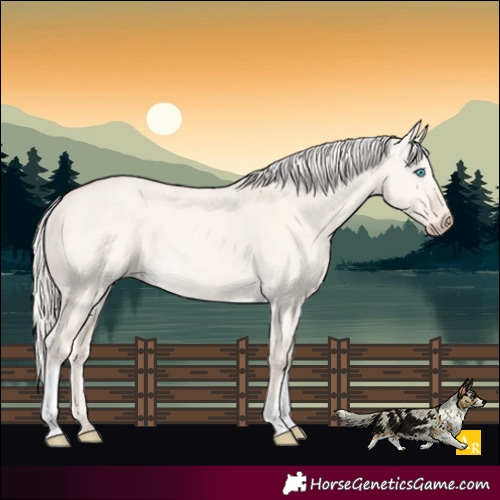Horse Color:Cremello Dun Tobiano 