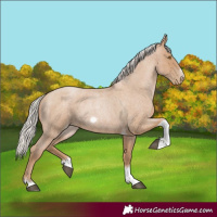 Horse Color:Silver Blue Roan Pearl Tobiano Frame 