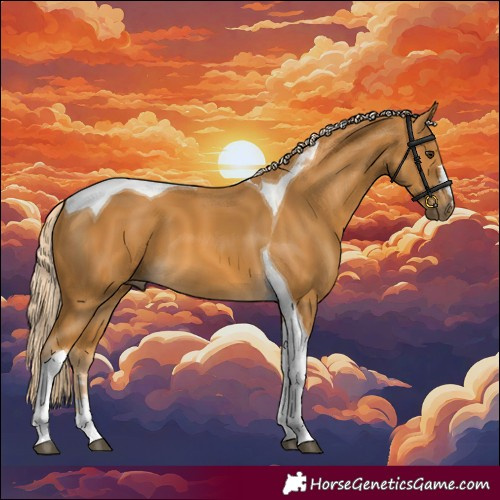 Horse Color:Palomino Tobiano 