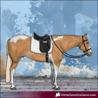 Horse Color:Palomino Tobiano 