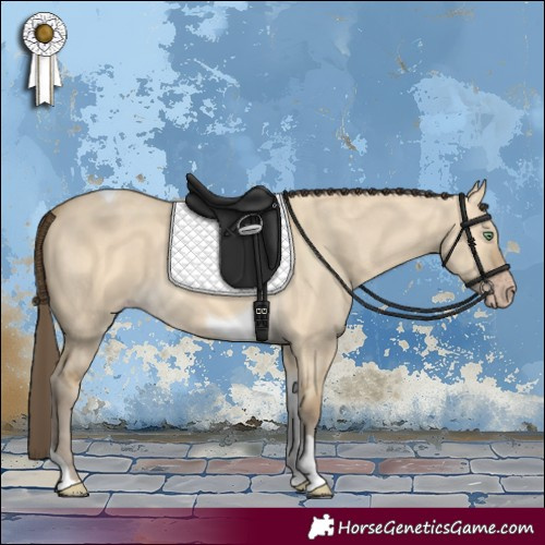 Horse Color:Amber Cream Champagne Dun Tobiano