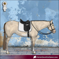 Horse Color:Amber Cream Champagne Dun Tobiano 