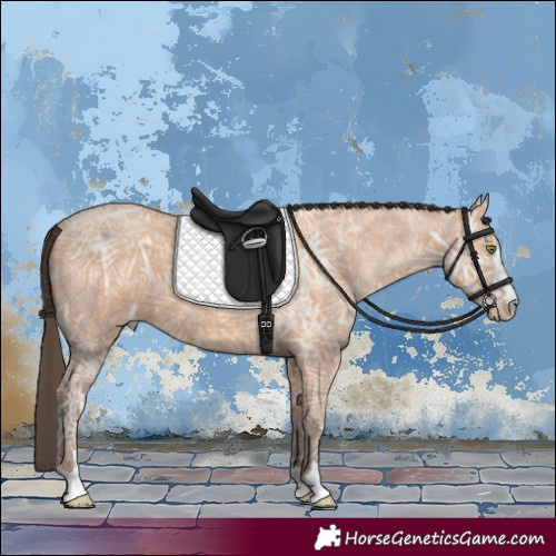 Horse Color:Amber Champagne Ice