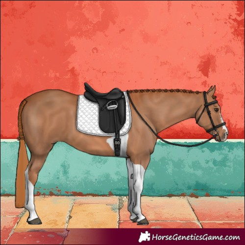 Horse Color:Chestnut Tobiano 