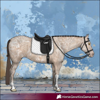 Horse Color:Amber Champagne Ice Tobiano 