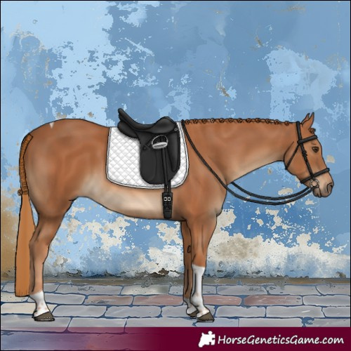 Horse Color:Chestnut Tobiano 
