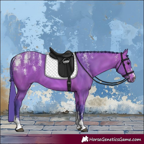 Horse Color:Powder White Watercolor Bay