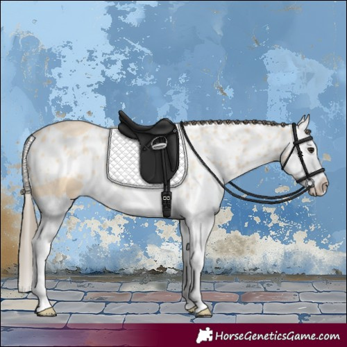 Horse Color:Buckskin Roan Splash Skewed LP Spotted