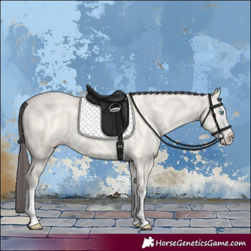 Horse Color:Amber Cream Champagne Dun Splash 