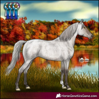 Horse Color:Silver Grullo Roan 