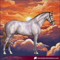 Horse Color:Amber Champagne Roan Dun Tobiano Skewed Appaloosa Rabicano