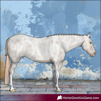Horse Color:Amber Champagne Roan Dun Tobiano Skewed LP Spotted Rabicano 