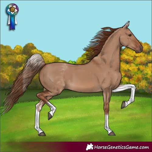 Horse Color:Unknown 