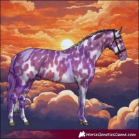 Horse Color:Watercolor Bay Tobiano Appaloosa 