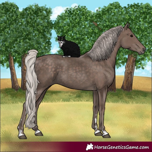 Horse Color:Silver Black 
