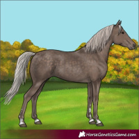 Horse Color:Silver Black 