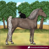 Horse Color:Silver Black 